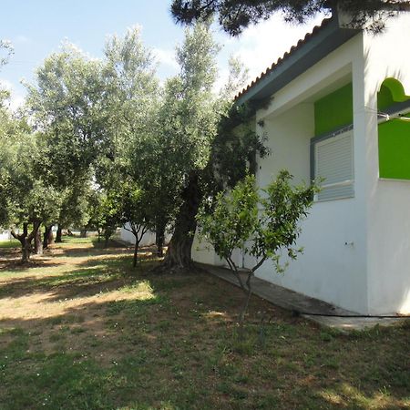 Bungalows Camping Kouyoni Gerakini Exterior foto